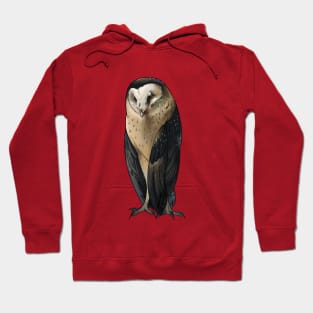 Grass Owl Hoodie